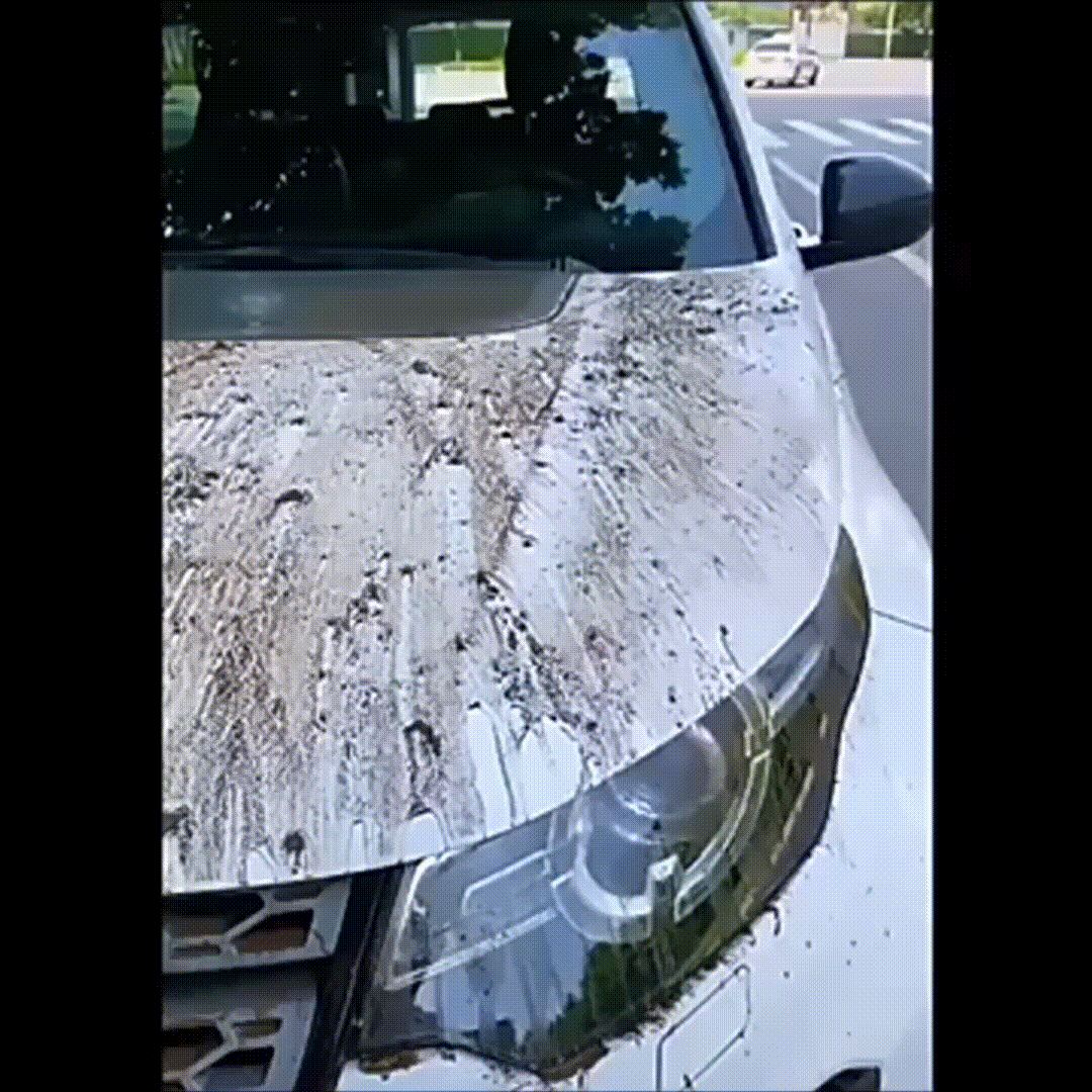 Magic Towel - Das Tuch, das jede Oberfläche blitzblank hinterlässt – ohne Streifen, Flusen oder Kratzer!